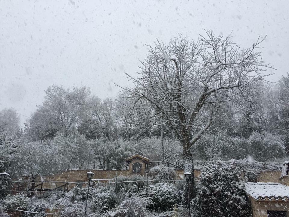 Il Renaiolo Villa Spello Buitenkant foto